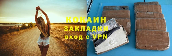 гидра Абаза