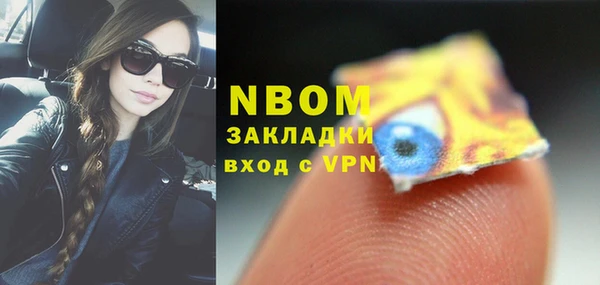 гидра Абаза