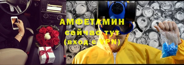 гидра Абаза
