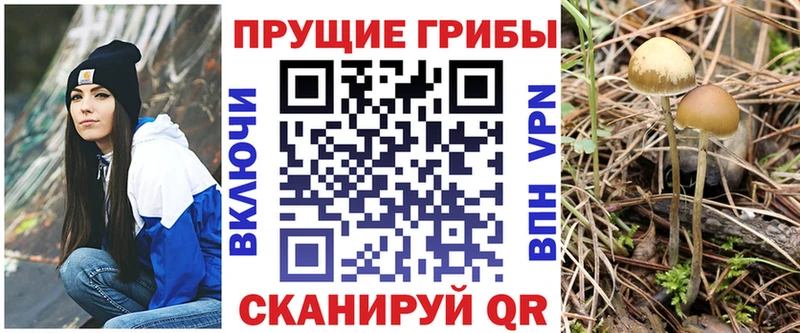Галлюциногенные грибы прущие грибы  Устюжна 