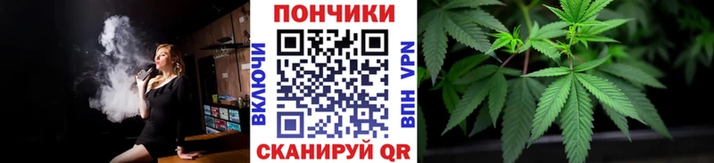 Бошки Шишки тримм  закладка  Устюжна 